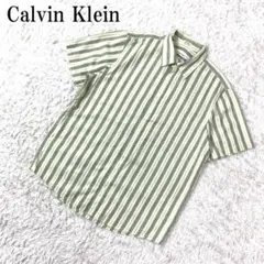 カルバンクライン 半袖シャツ 綿 ストライプ ベージュ 緑系 M B1047