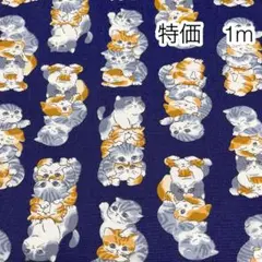 ラスト 特価 1m ぎゅうぎゅう猫 ネイビー オックス