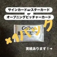 プロ野球チップス2025第２弾×1パック