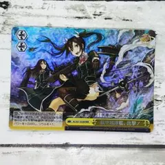 ヴァイスシュヴァルツ RRR 航空巡洋艦、出撃!