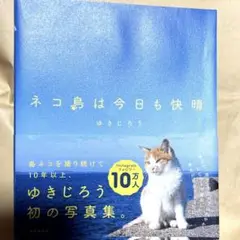 ネコ島は今日も快晴