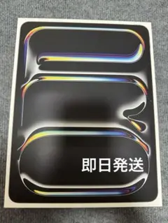 iPad Pro 13インチ M4 512gb