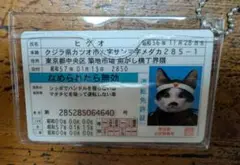 なめネコ 免許証 ヒゲオ