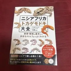 ニシアフリカトカゲモドキ大全 飼育・繁殖の基本から多彩なモルフまでよくわかる