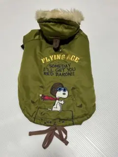 Item thumbnail for item 43d02e38-cf61-4896-a0a9-aad4fd9ead55