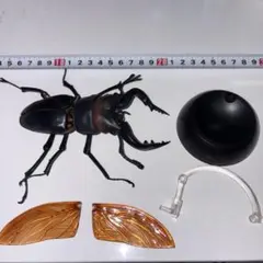 いきもの大図鑑　くわがた01 ノコギリクワガタ（黒）