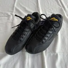 【希少】MIZUNO ミズノ　ライトクワッドグリッターRP 25.0cm