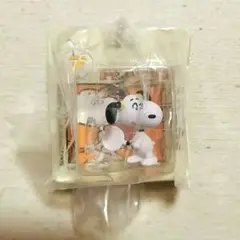 スヌーピー　1980s　パッケージミニチュアコレクション　ガチャ