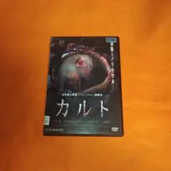 送料無料 カルト 白石晃士 DVD レンタル落ち ケース付き 心霊ホラー映画