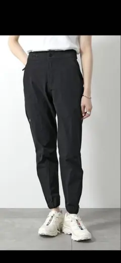 arc'teryx gamma tapered pantsサイズ２