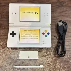 ☆充電器付き☆Nintendo ニンテンドーDS Lite ホワイトカスタム