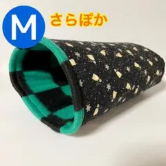 Item thumbnail for item 18fcb490-e1a4-40f6-a429-0d0f990e8cfb