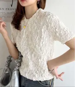 クラシカルエルフ カットジャガード短丈Tシャツ（半袖）　L