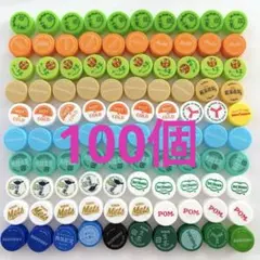ペットボトルキャップ　カラフル　100個　工作材料