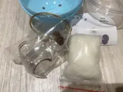 正規品　シャム　うちの子のけだまだま ガチャガチャ
