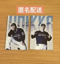 we loveHokkaido ファイターズ ステッカー　伏見　山﨑