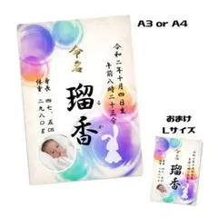 Item thumbnail for item 846c9693-dff2-4280-9e64-1a8f8d1c464c