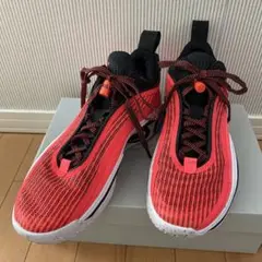 Nike Air Jordan 36 Low エアジョーダン　28am