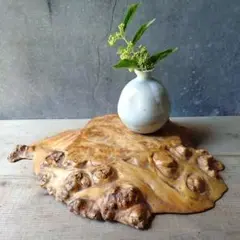 花台　切株　瘤　天然木