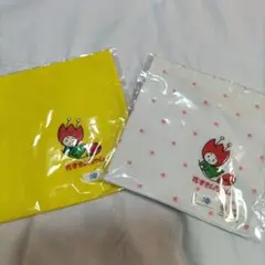 花ずきんちゃん　ハンカチセット 2枚セット