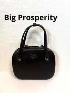 Big Prosperity ビッグプロスペリティ レザー ハンドバッグ 黒