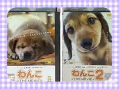 日本映画DVD【わんこ&わんこ２】
