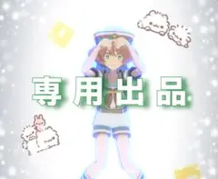 専用出品