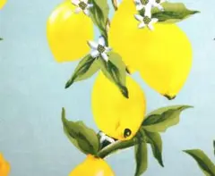 8/12限定SALE　140cm×30cm 水色　綿　シーチング生地