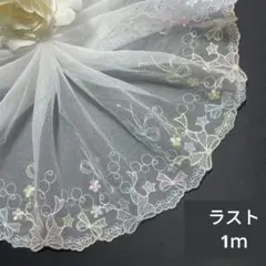 #3880番　チュールレース　刺繍　1ｍ