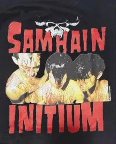 サムヘイン Samhain パンク バンドティー 90s Tシャツ