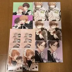 ピットスポルム ネップリ