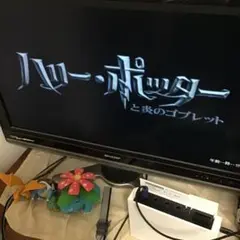 ハリー・ポッターと炎のゴブレット ゲームキューブ　起動確認済み