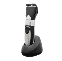 Item thumbnail for item 7376fd61-8af1-48df-bfe8-e014f9848281