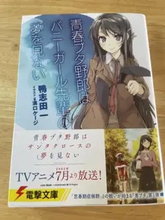 青春ブタ野郎はバニーガール先輩の夢を見ない