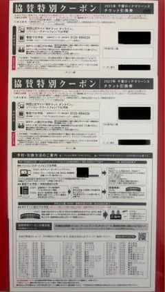 千葉ロッテマリーンズ観戦チケット×2