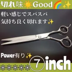Item thumbnail for item 81b10d5b-db21-426e-9e9b-1670c142cb6f
