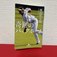 奇跡のバックホーム