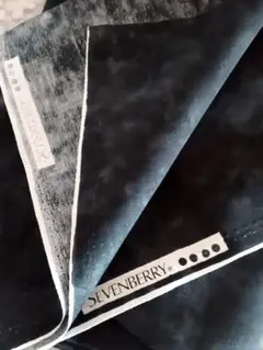 Item thumbnail for item 11beb8b9-11da-4691-9173-eb4e2e682afd