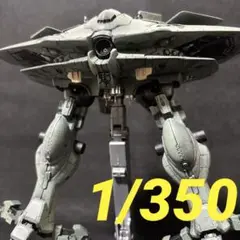 m54849565036_1.jpg?1741445593