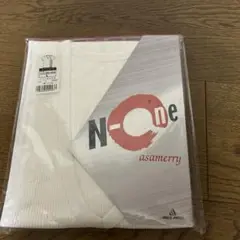 高級肌着　アサメリーＴシャツ　Lアングル　ミユキ