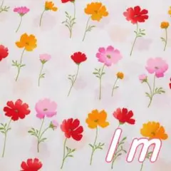 １ｍ●布 コスモス 秋桜 キバナコスモス 幅110cm オフホワイト 秋の花