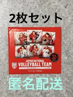 ネーションズリーグ 男子バレーボール ミニ色紙