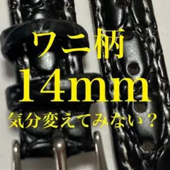 Item thumbnail for item 87d98206-33a5-49ba-9029-3013e4761065