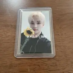 SEVENTEEN ジョンハン サノク home ひまわり