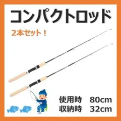 2本セット 穴釣り 折りたたみ コンパクトロッド ワカサギ ロック テトラ