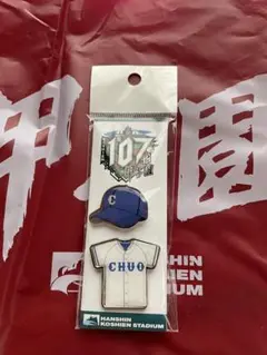 【新品未使用】高校野球　甲子園　豊橋中央高校　ピンバッジ