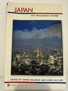 Japan: The Precarious Future