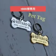 Item thumbnail for item 168fb4d8-73c0-4873-a1b1-b74245d149bd