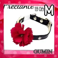 Item thumbnail for item 3d5f5702-442f-416c-8517-4125d18dc5d3
