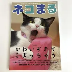 『ネコまる 』〜かわいすぎてこまっちゃう〜